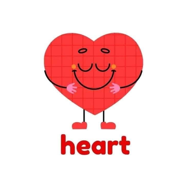 Heart
